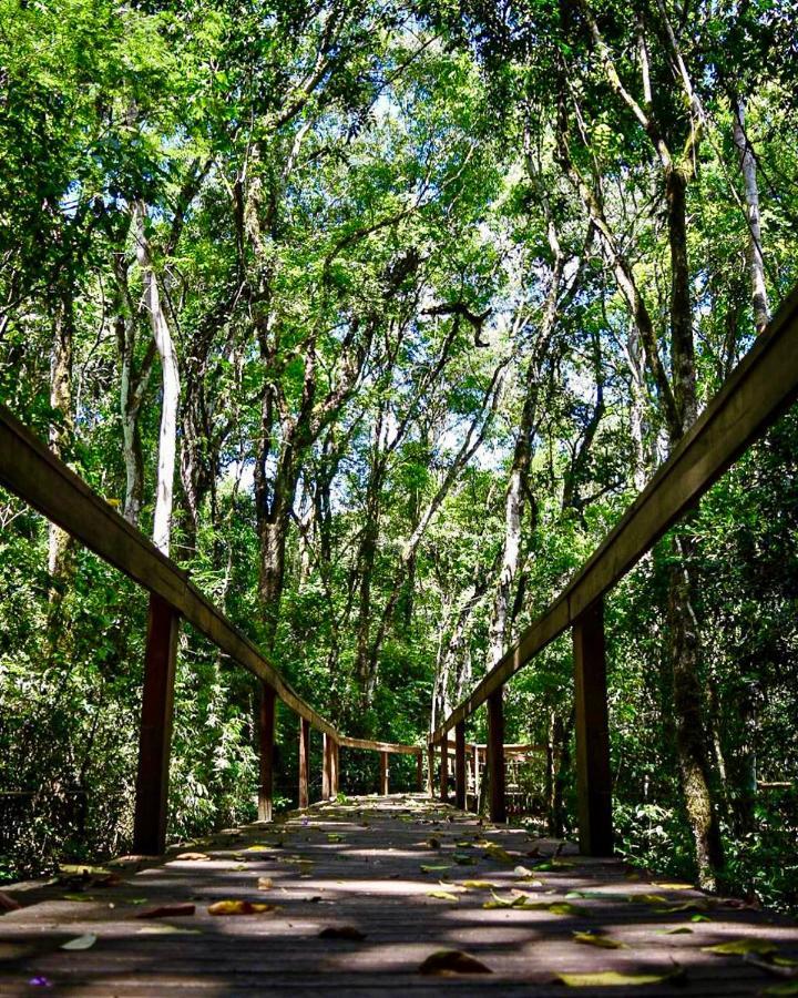 Mocona Virgin Lodge Saltos del Moconá エクステリア 写真