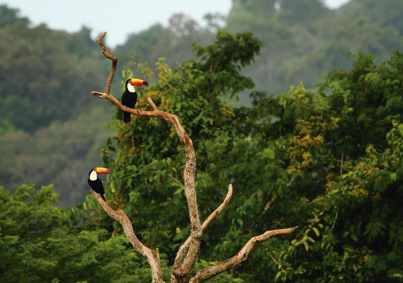 Mocona Virgin Lodge Saltos del Moconá エクステリア 写真