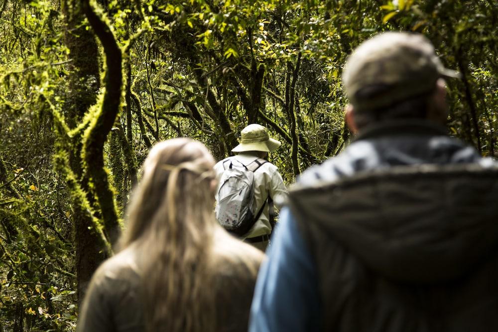 Mocona Virgin Lodge Saltos del Moconá エクステリア 写真