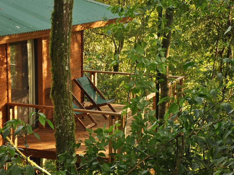 Mocona Virgin Lodge Saltos del Moconá 設備 写真