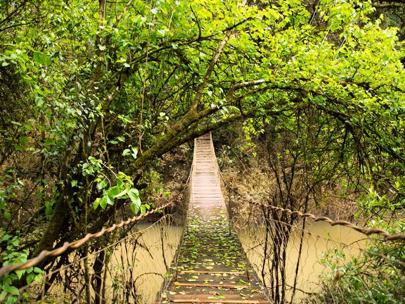 Mocona Virgin Lodge Saltos del Moconá エクステリア 写真
